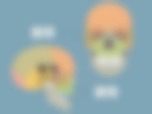 成都中 医 药大学附属医院(整形美容科)怎么样简介概述