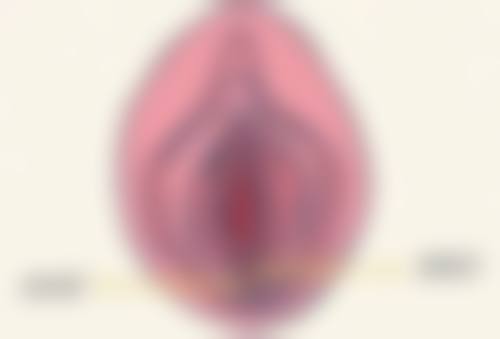 李生医生的价格体系