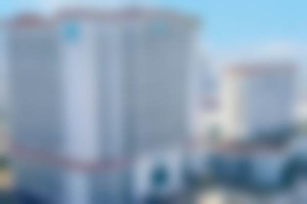 杨燕飞的成功实例展示