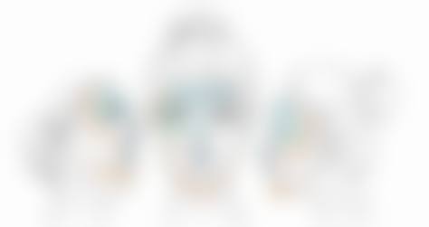 杨雪理的精良技术保护