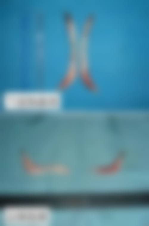 江利君医生的价格优势