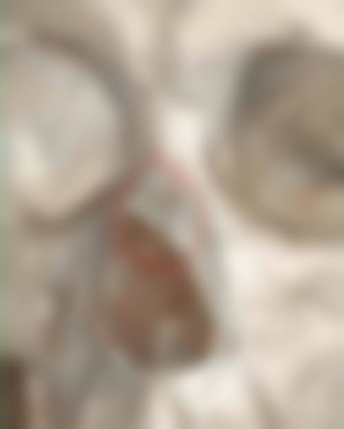 信赖李德全医生的有力理由