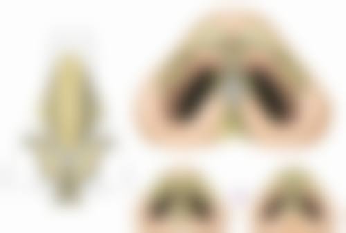 河范埈医生的服务项目