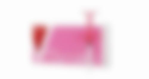 特色项目及技术优势