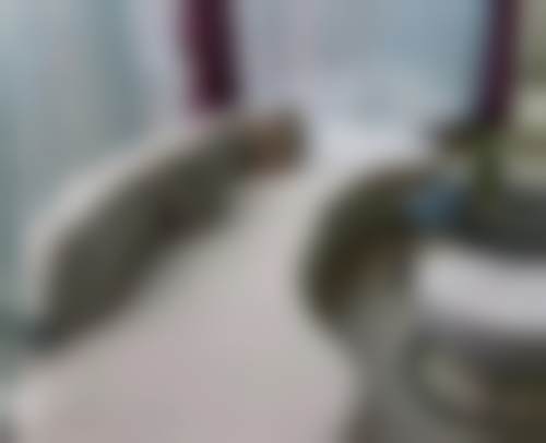 特色项目及技术优势