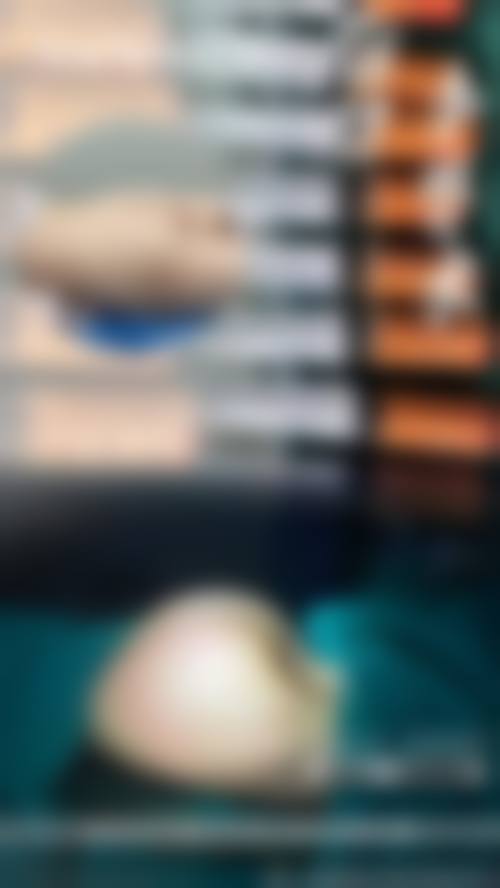 朱文煌依托的专精诊疗保护