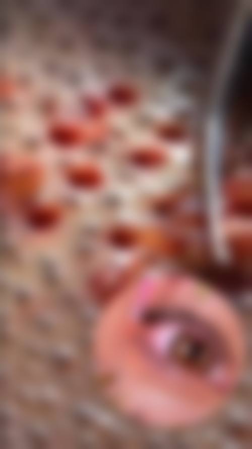 方建文医生的全品类毛发种植服务范畴