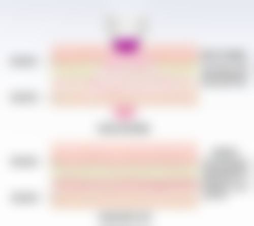 海口嘉美医学美容门诊部简介概述