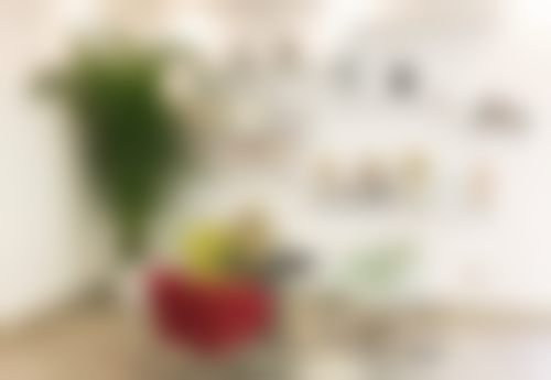 内蒙古呼和浩特尔娴医疗美容诊所基本信息