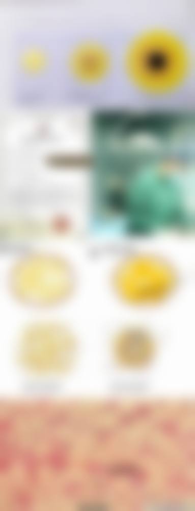 衢州贵美人医疗美容医院特色项目及技术优势