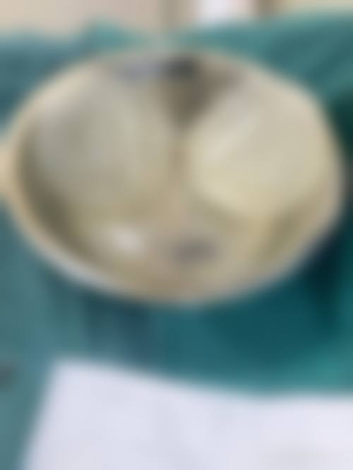 特色项目及技术优势