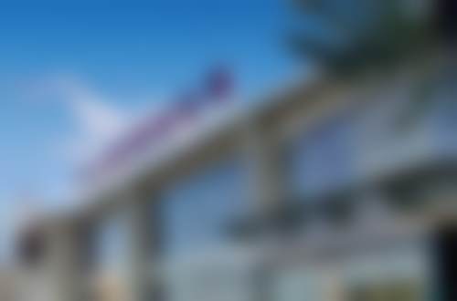 莫瑞斯•托帕兹