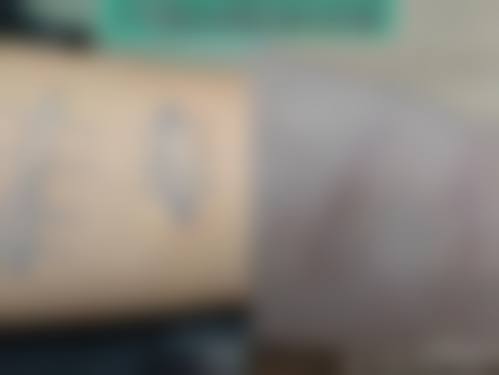 特色项目及技术优势