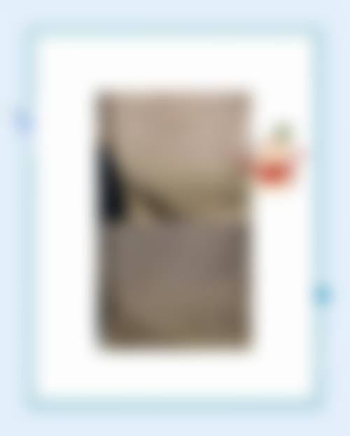 特色项目与技术优势