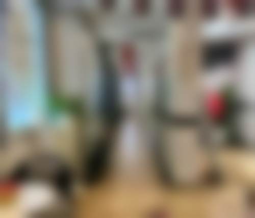 特色项目及技术优势