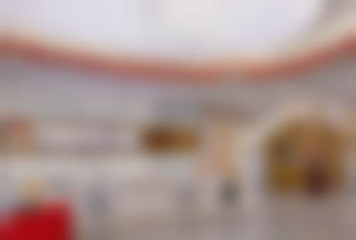 特色项目及技术优势