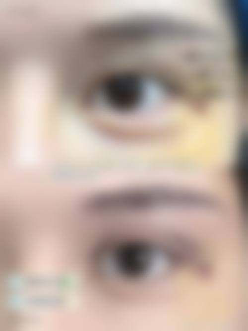 特色项目与服务流程