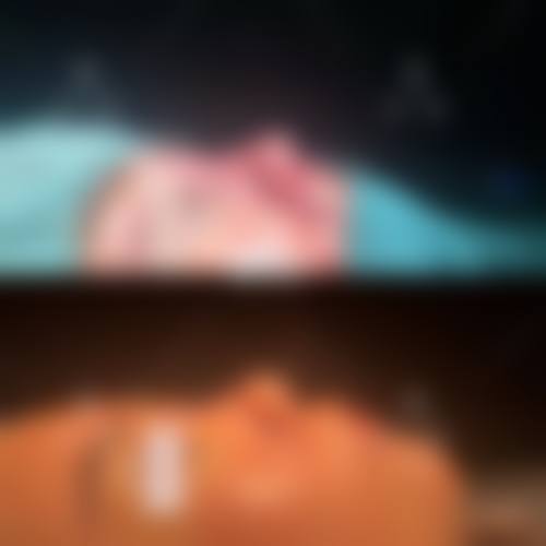 特色项目与技术优势