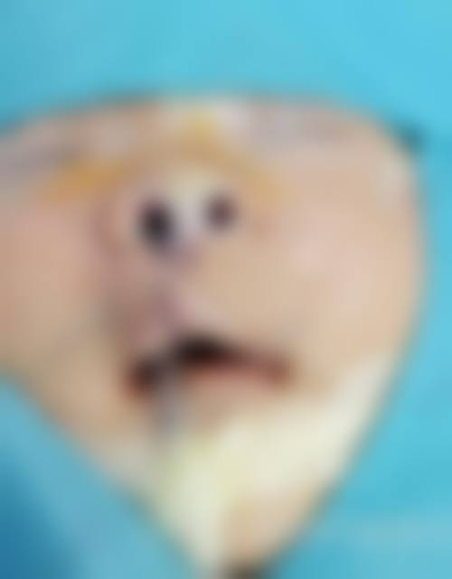 特色诊疗项目与技术优势