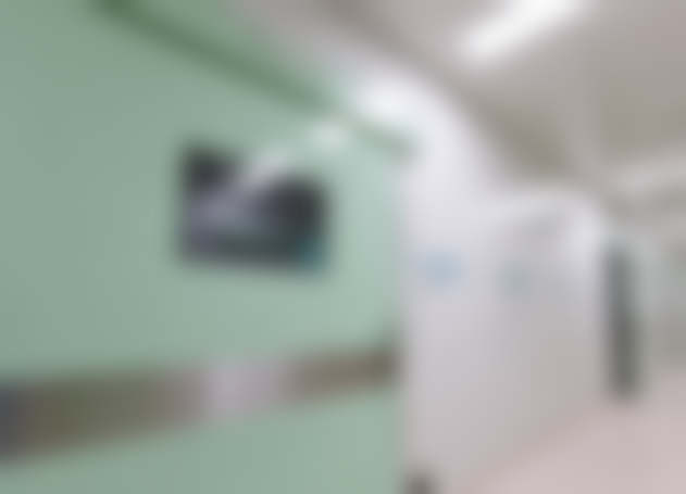 特色项目及技术优势