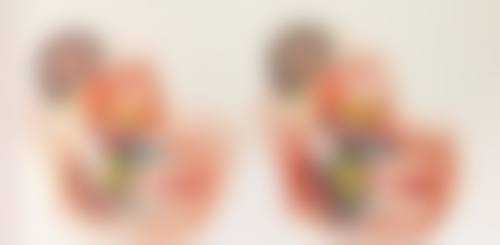 特色项目与技术优势