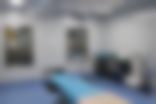 特色项目与技术优势