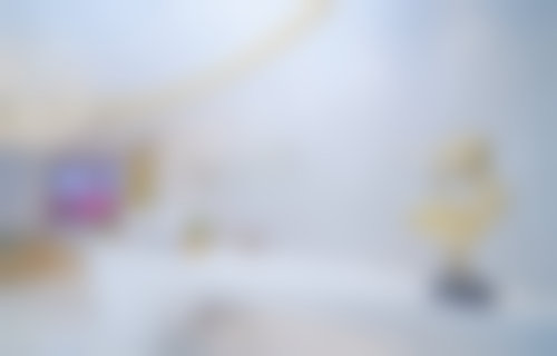 特色项目及技术优势