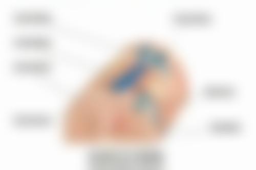 青岛华韩整形美容诊所简介概述