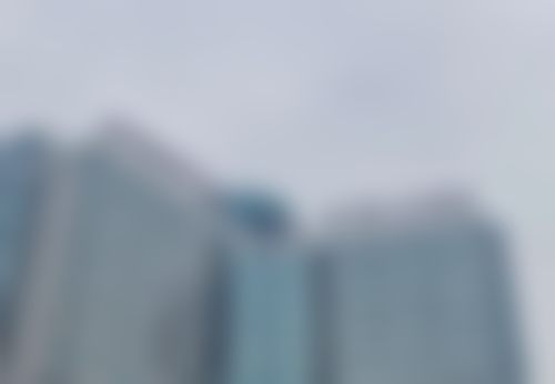 依托国内名列前茅的整形外科平台