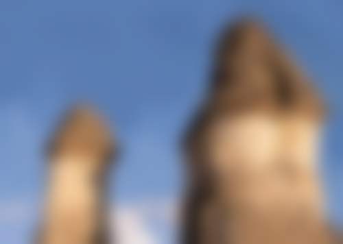 崔玮可参与的全品类整形修复与美容服务