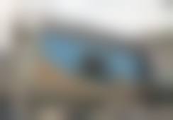 苟磊