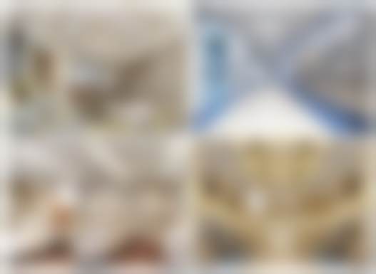 袁鹿可提供的医美服务项目覆盖范围