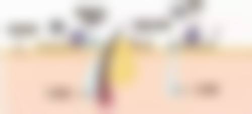 南京美范医疗美容诊所医生团队实力