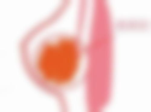 烟台悦己医疗美容诊所基本信息