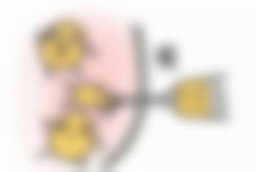 西安瑞碧特整形医院简介概述