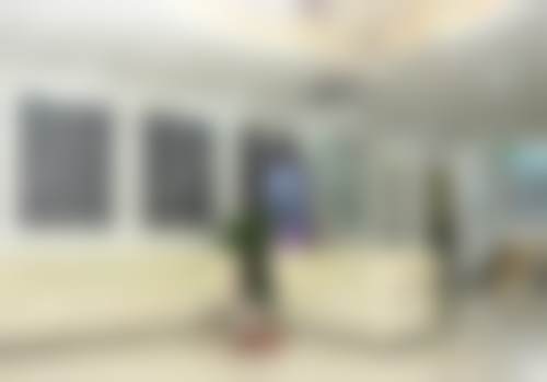 学术积累与从业资历