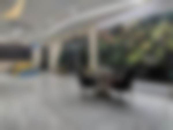 2. 陈丽燕医生的学术积累与从业资历