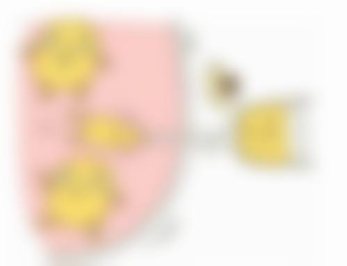 邢志平的价格收费与坐诊时间